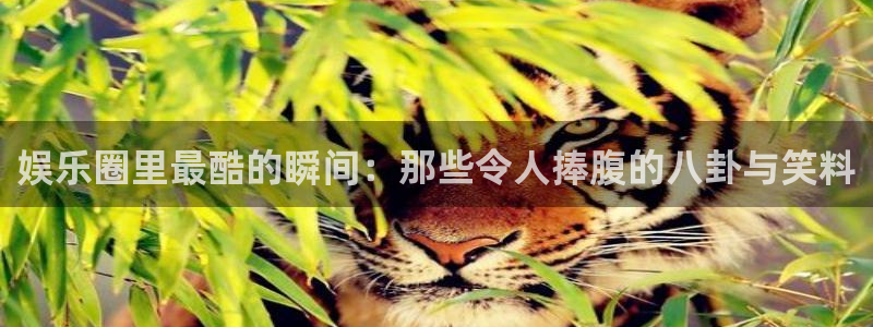 长征娱乐