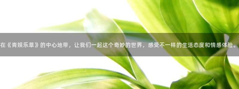 长征娱乐平台