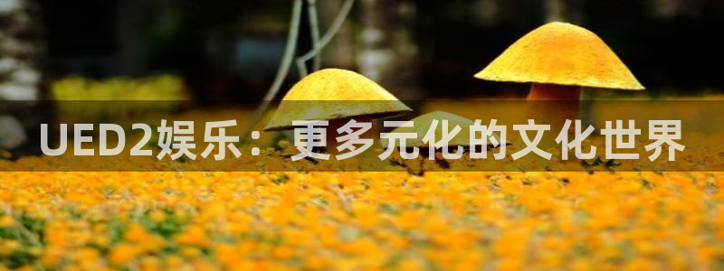 长征娱乐登录